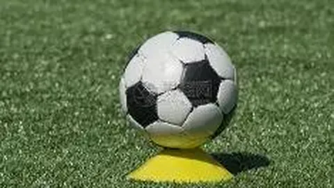 陈露团队辟谣分手费传闻，霍尊请求隐私信息不被公开